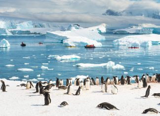 Антарктида