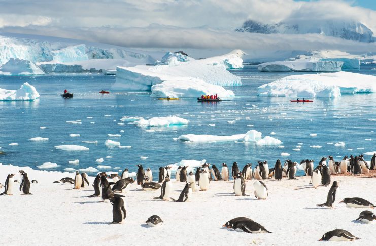 Антарктида