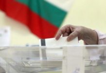 българите изборите