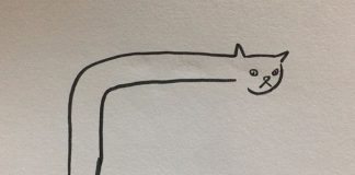 Ако покажете на някого тези рисунки и му кажете, че описват по абсолютно правилен начин вашата котка, вероятно ще и се изсмеят. Но истината е, че те всъщнос