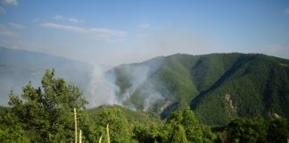 пожар в Кресна