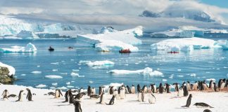 91 вулкана бяха открити под ледената обвивка на Антарктида от група изследователи от Единбургския университет. Геолозите смятат, че този вулканичен пояс мож