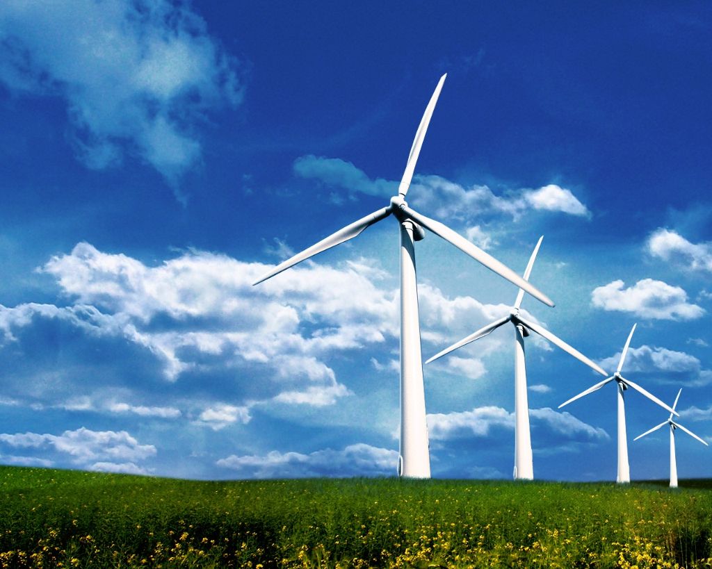 Няма конфликт между екология и вятърна енергия Около това твърдение