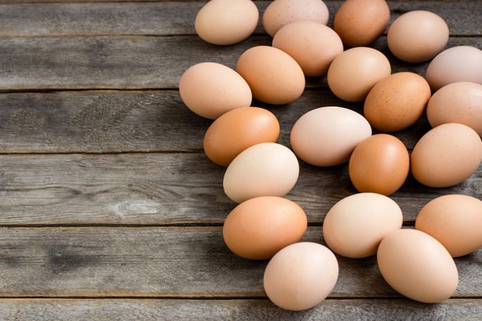 В България е открит още половин тон яйчен прах, заразен с фипронил. Това съобщиха от пресцентъра на Българската агенция по безопасност на храните (БАБХ). Пр