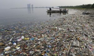 Пластмаса в океаните