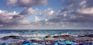 Северният ледовит океан