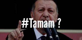 Ердоган е проблем за Турция
