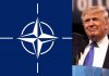 Trump_NATO