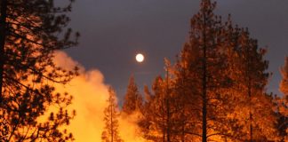 Калифорния, пожари