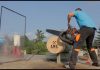 Lumberjack