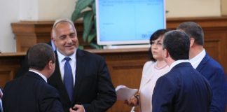 borisov_ninova