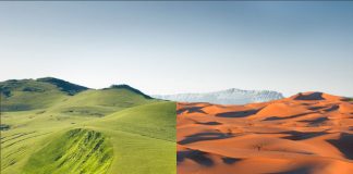 Sahara-desert