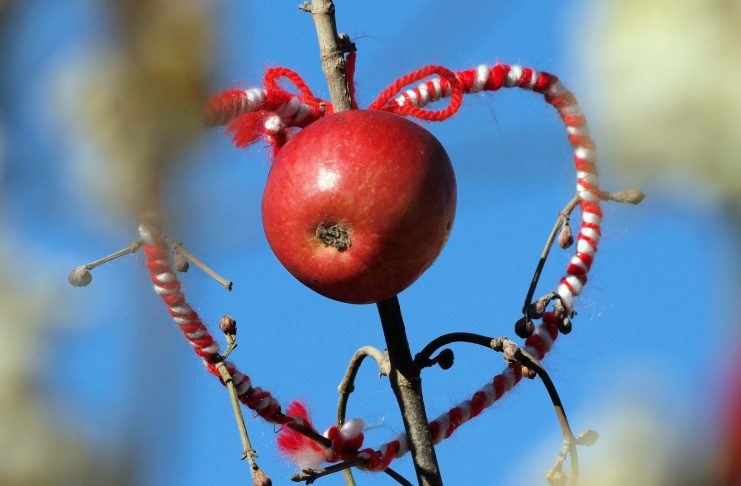 Васильовден, Сурваки