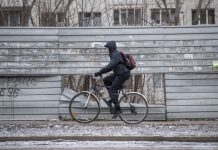 Молдова, избори