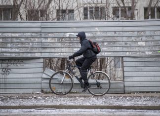 Молдова, избори