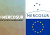 ЕС Меркосур