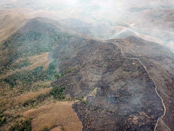 Бразилската армия срещу горските пожари