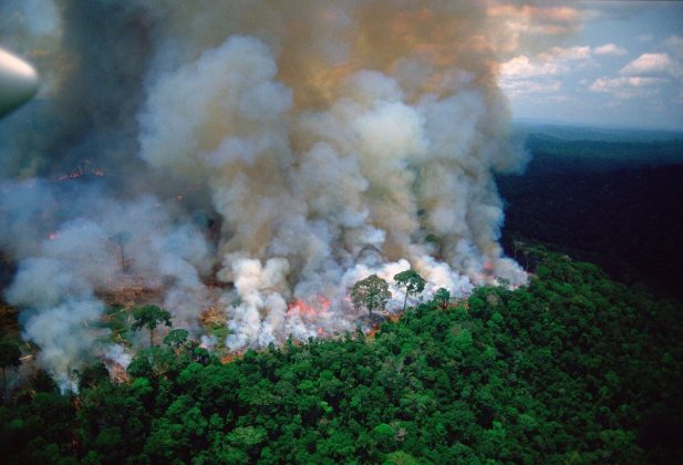 Бразилската армия срещу горските пожари