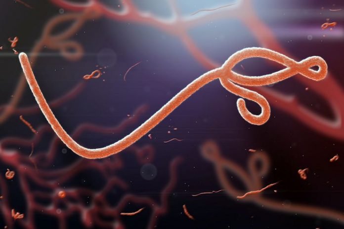 ебола