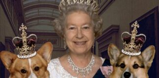кралица Елизабет II, корги
