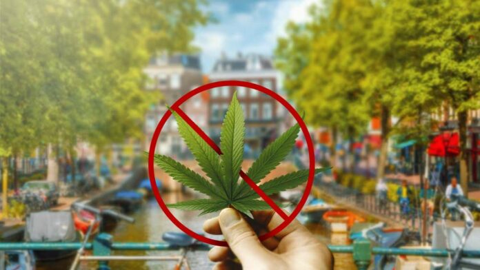 марихуана в амстердаме фото