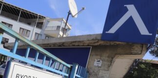 Сашо Диков, акции, Левски, Бойко Борисов, Васил Божков