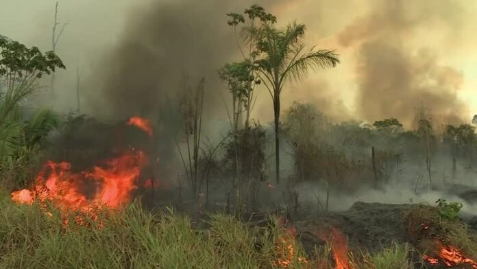 Пожар в Амазонската екваториална гора