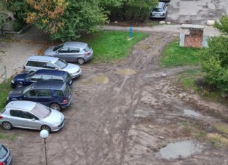 След години на неглижиране: София прави първа системна стъпка към решаване на кризата с паркирането паркиране зелени площи