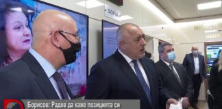 Борисов навални