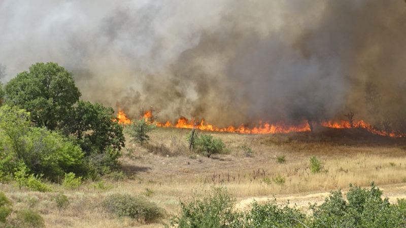 Горещините доведоха до огромни горски пожари 2022 г беше рекордно