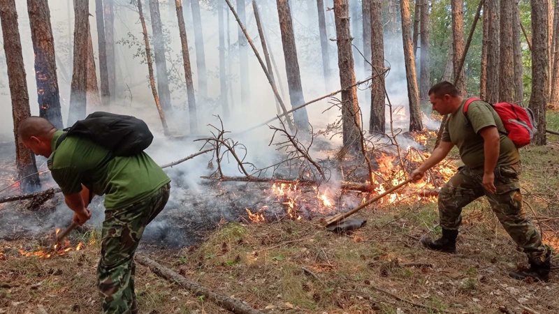 СподелиСигнал за горски пожар на територията на село Вълчан дол