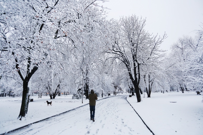 Снимката е илюстративнаПърви сняг падна тази нощ в София започна