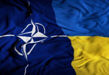НАТО Украйна