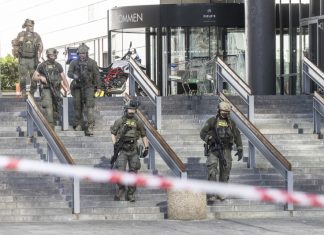 стрелба Копенхаген, полиция