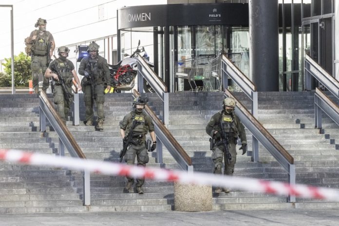 стрелба Копенхаген, полиция