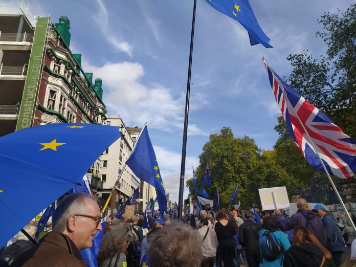 Великобритания - връщане в ЕС- протест