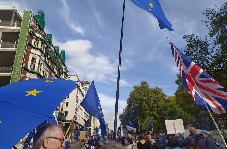Великобритания - връщане в ЕС- протест