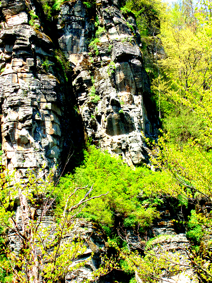  Щутград, Ситово 