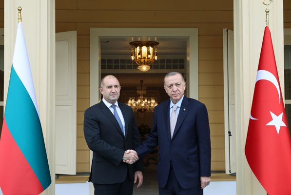 Радев и Ердоган разговаряха на четири очи в Истанбул Снимка