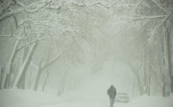 снежна буря, сняг