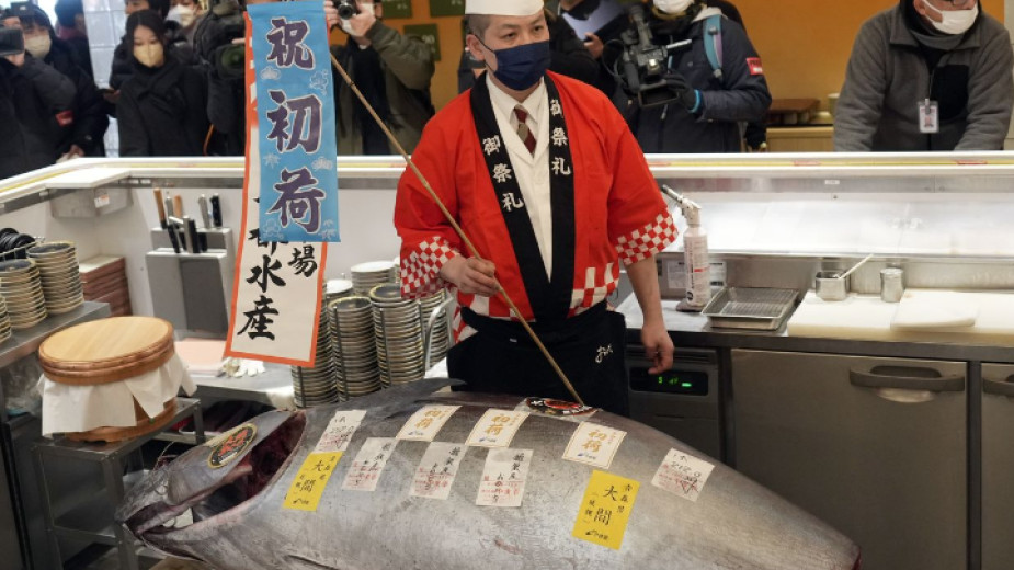 Продадената риба тон. Снимка: БНРРиба тон, тежаща 212 кг,  е