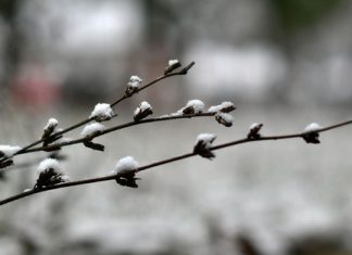 зима, време