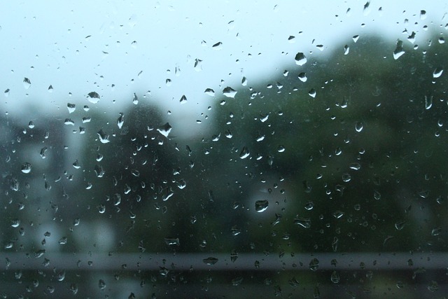 Снимка: Валежите продължават и днес, лошо време и в понеделник