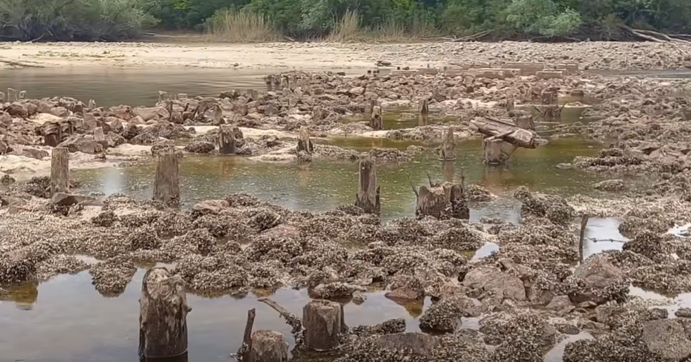 Водата в р Днепър е замърсена 28 хиляди пъти над