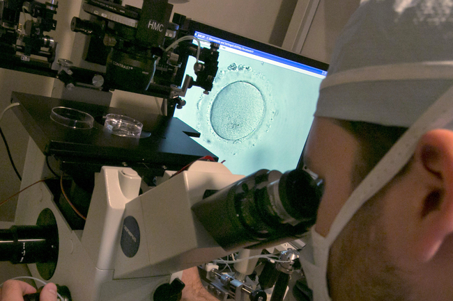 Учени създадоха синтетични човешки ембриони от стволови клетки съобщи ПиЕй