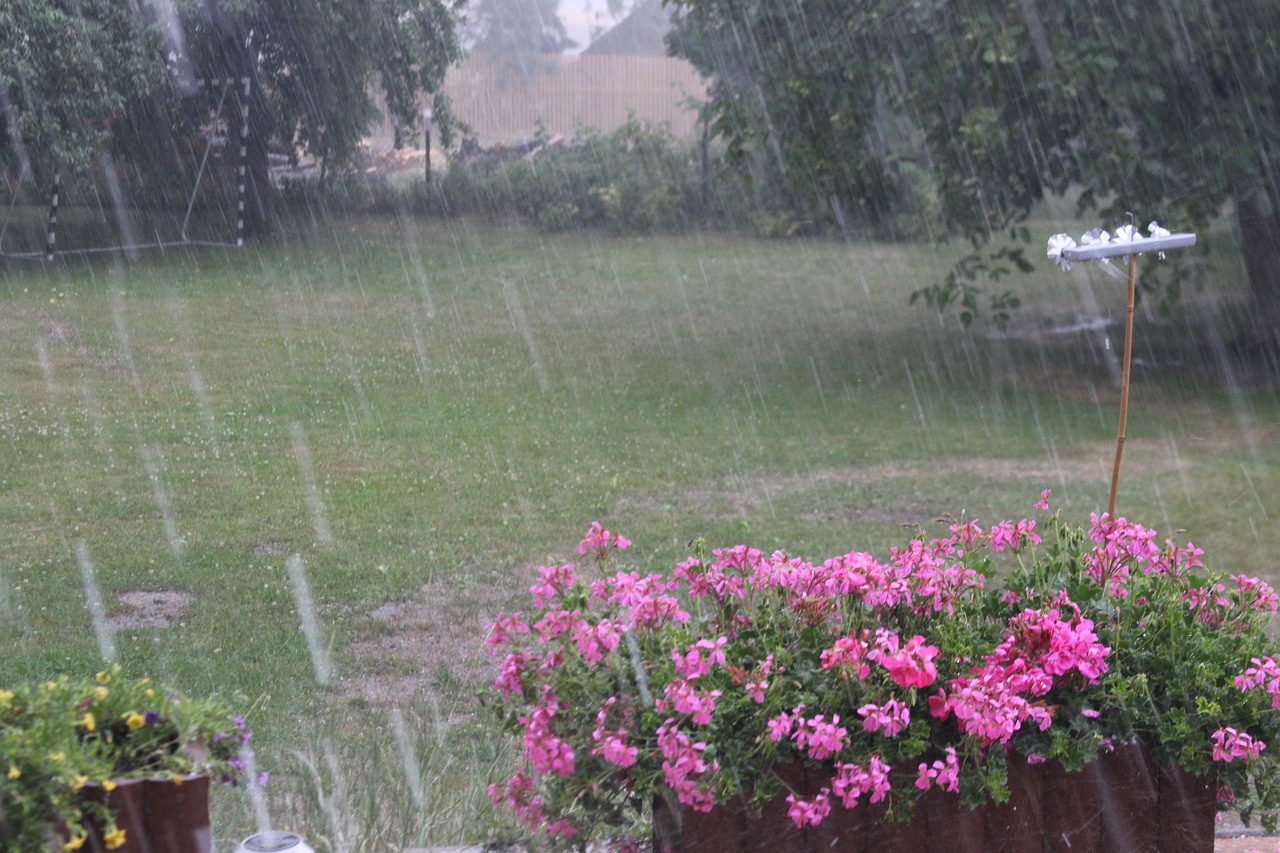 Жега и дъжд Така може да се опише днешния ден
