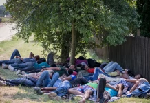 Обезводнени и убити от умора, мигрантите легнали на пътя