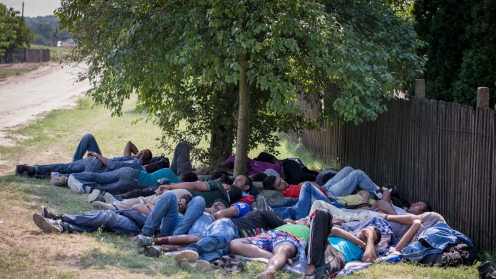 Обезводнени и убити от умора, мигрантите легнали на пътя