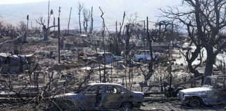 Жертвите на опустошителните пожари на Хаваите станаха 93