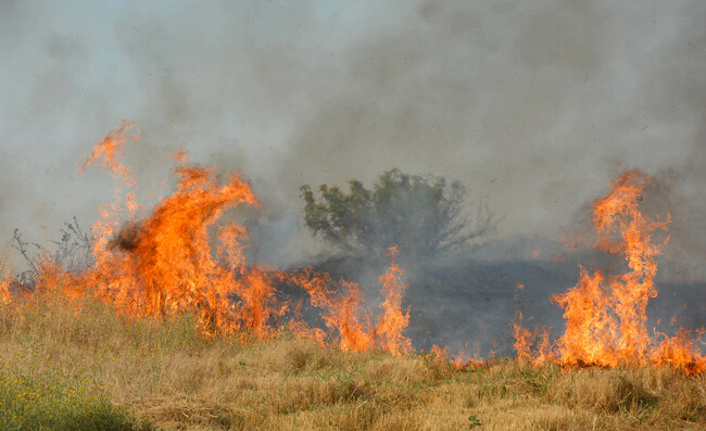 Пожарът край бургаското село Изворище е локализиран съобщиха за БТА
